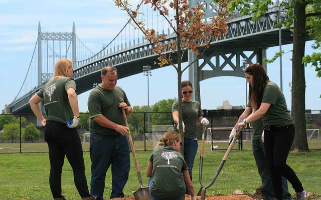 Verizon Green Team Tree Planting for Super Bowl