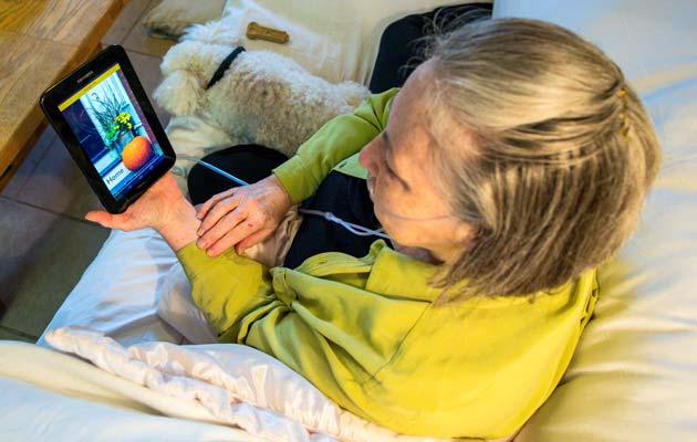 Sustainability Sustainability