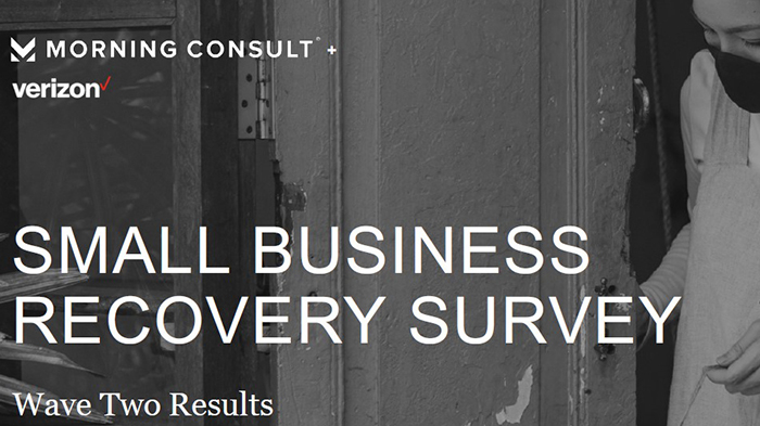 Small Business Recovery Survey Wave Two Results
