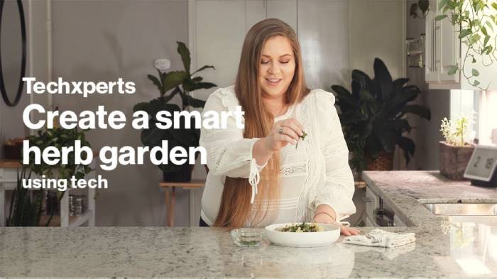 How to use tech to create a smart indoor herb garden | Techxperts | Verizon