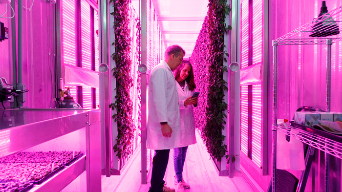 Rob and Joan Flanders inside their farm with the UV lights on while practicing sustainable farming