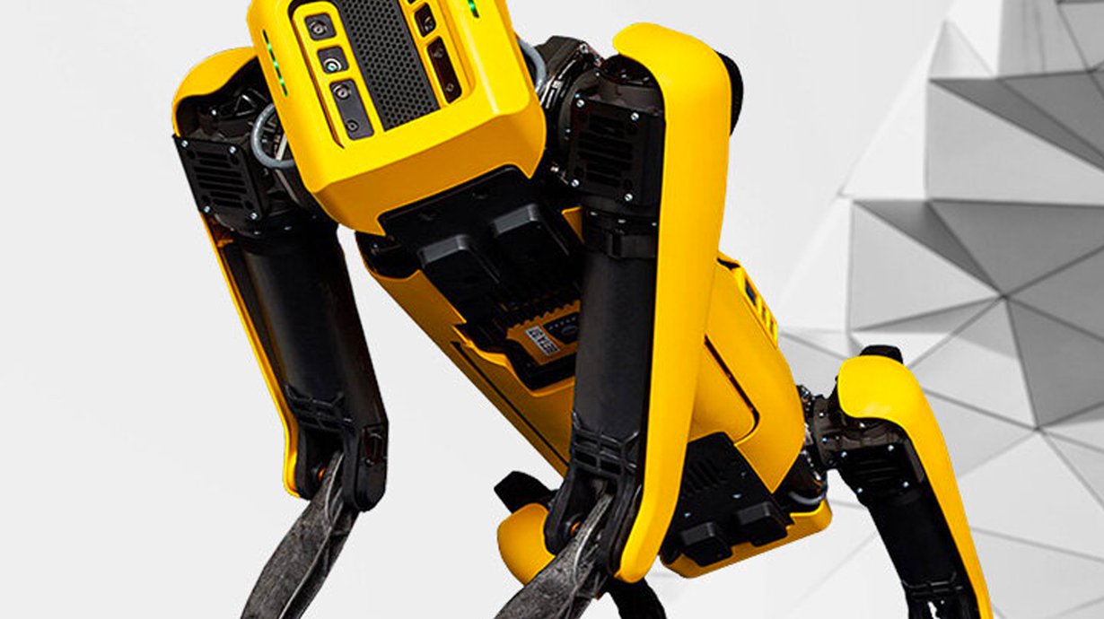 Robotic Dog By The Aigency Using 5G Technology