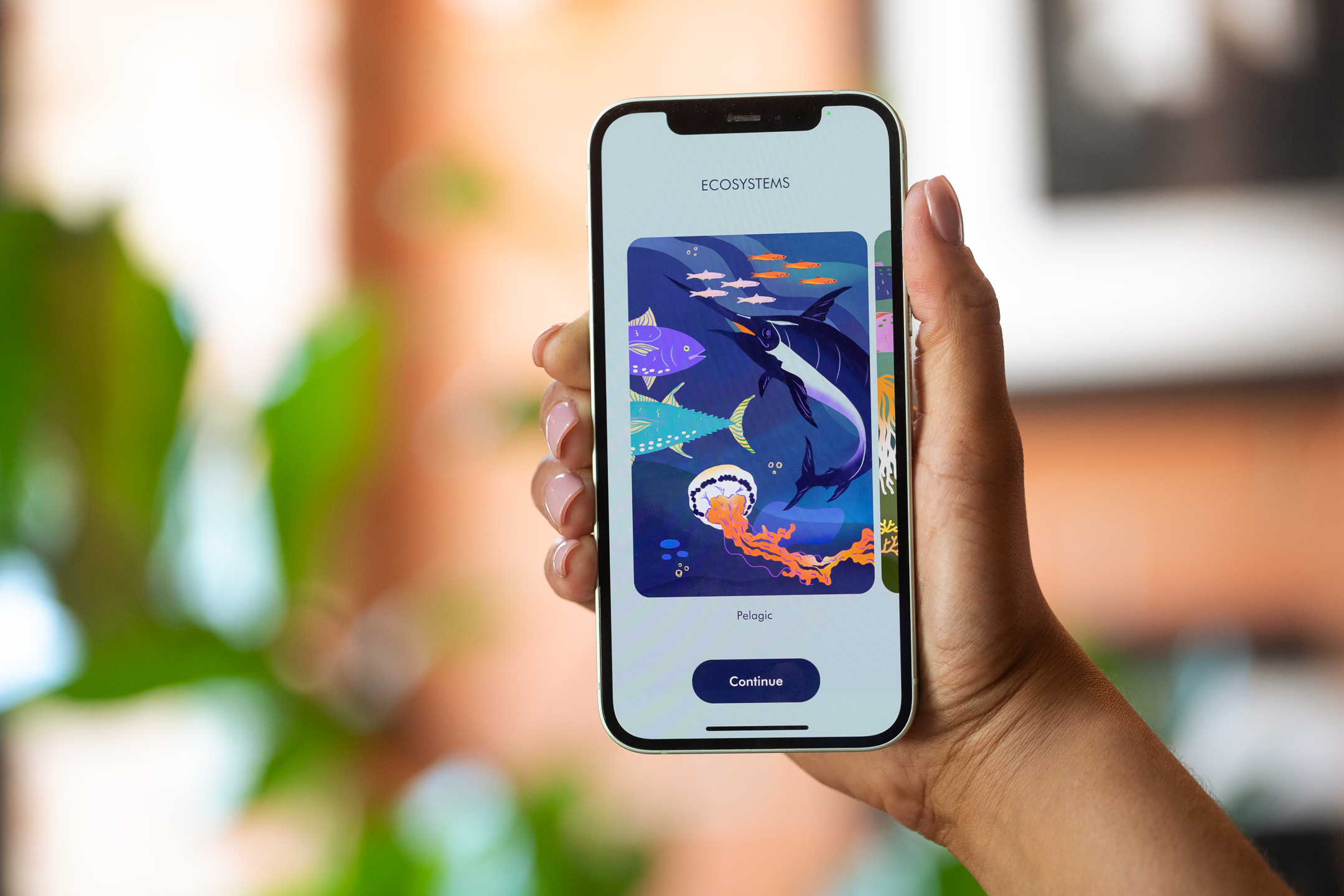 3.	The Aurelia app allows students to explore various underwater environments through the magic of augmented reality, including pelagic, freshwater and coral reef.