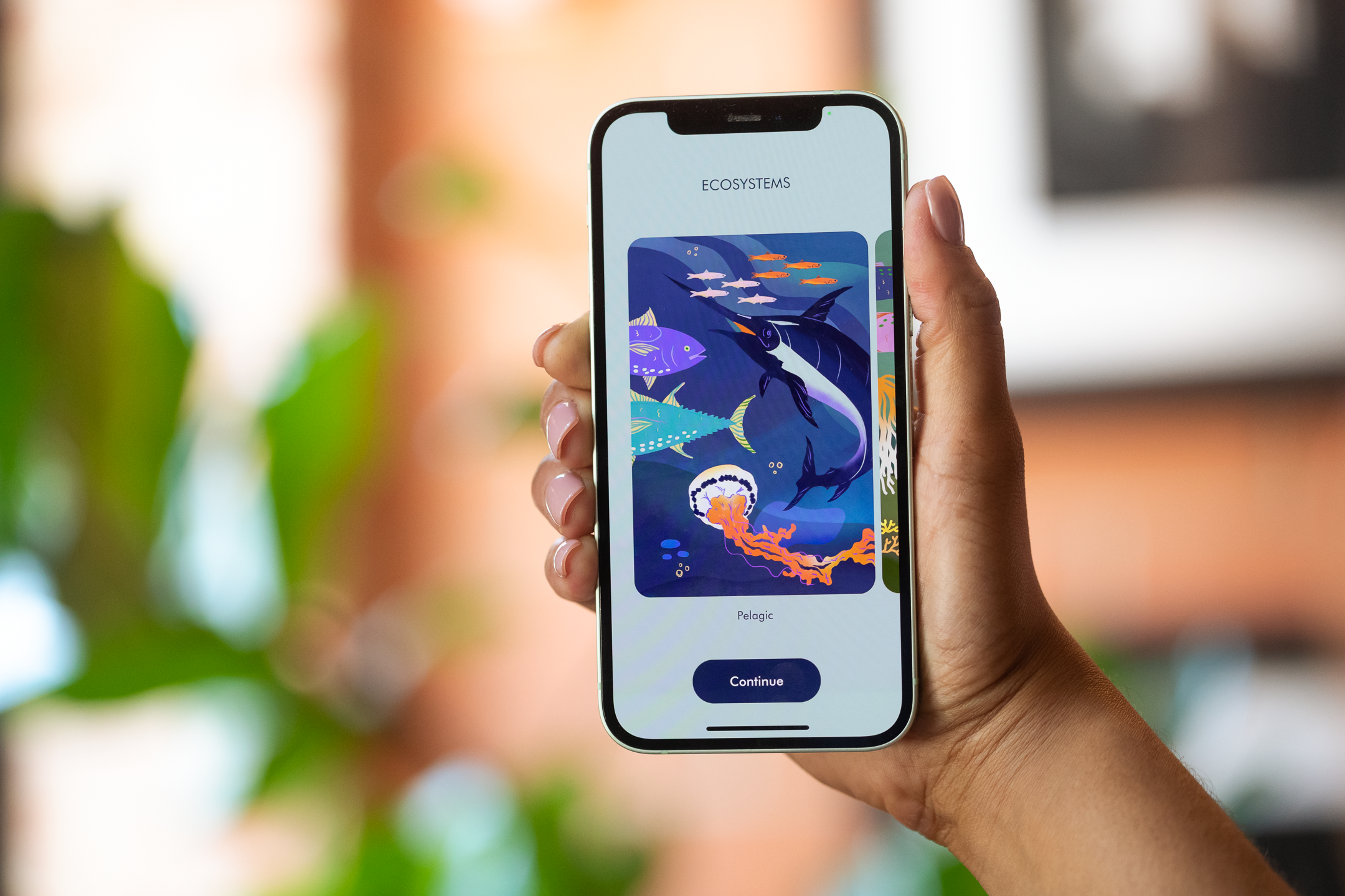 3. The Aurelia app allows students to explore various underwater environments through the magic of augmented reality, including pelagic, freshwater and coral reef.