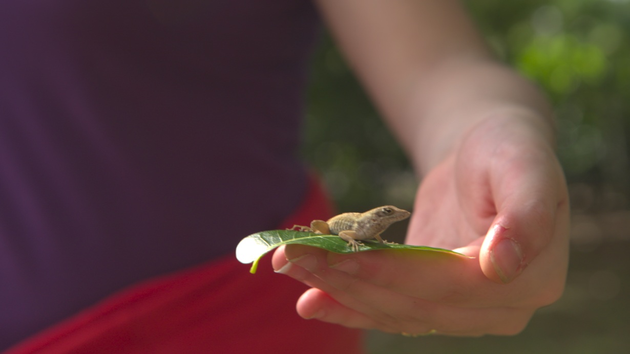 Miami art teacher melds science with art to teach students about the world | Verizon