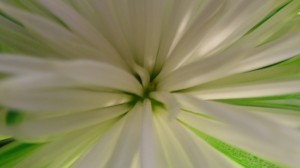 20130203_123707
