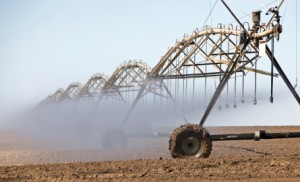 Irrigation System