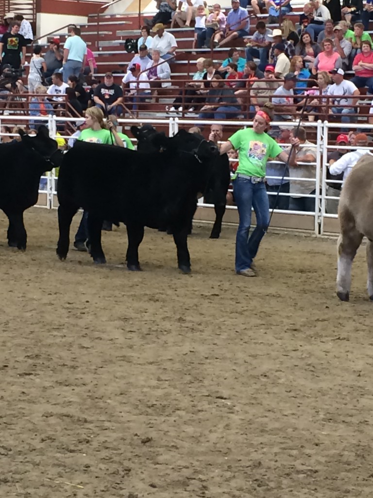 nebraska-state-fair