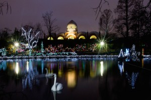 cincinnati-zoo-festival-of-lights-opening-lake