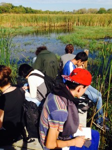 escuela-verde-science-students-pond