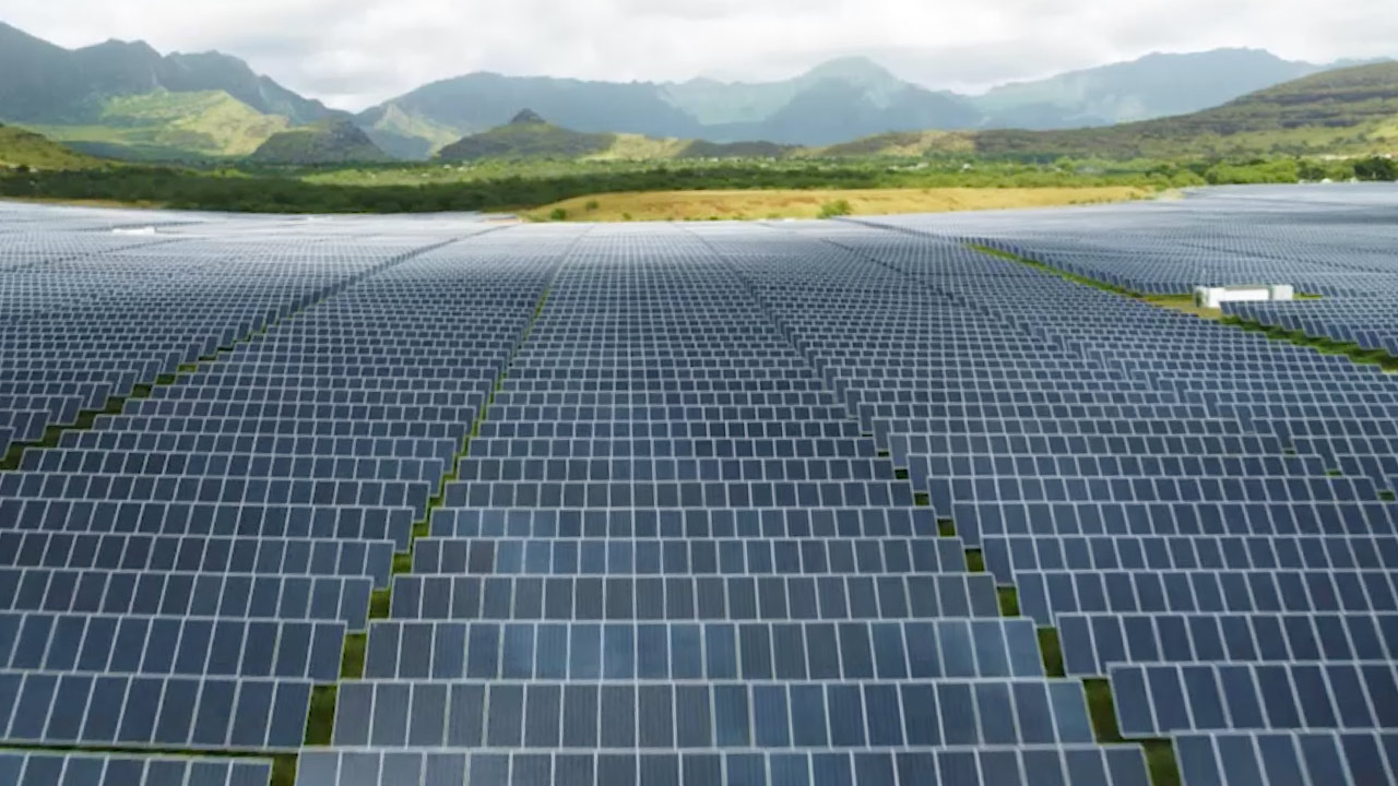 Image of a Hawaiian Electric solar field.