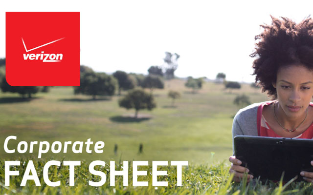 Verizon 2013 Corporate Fact Sheet