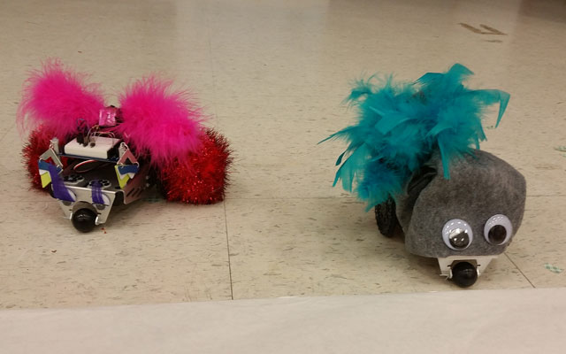 STEM Robotics