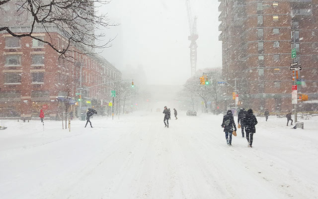 Blizzard Leads to Record Fios Traffic 