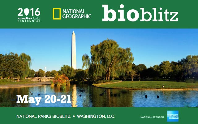 Verizon helps connect thousands of students to nature at Washington, D.C., area national parks during BioBlitz 2016