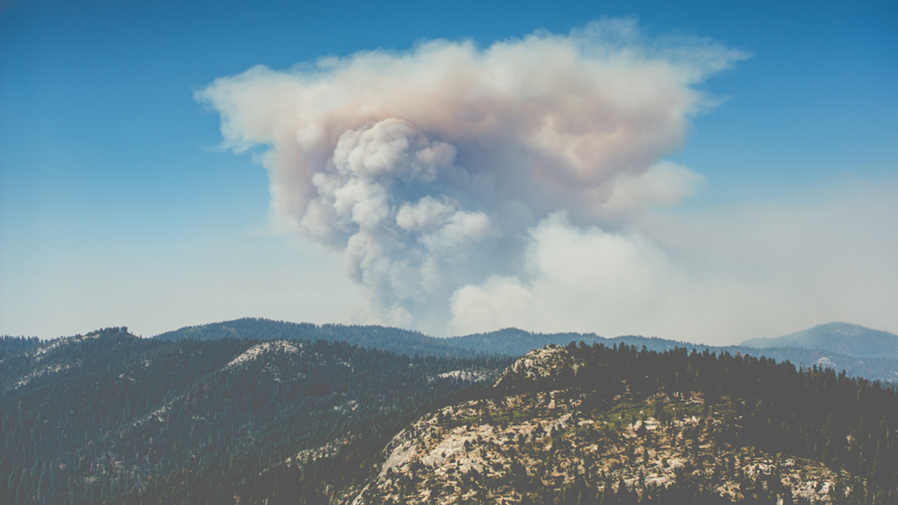 Wildfire data relief