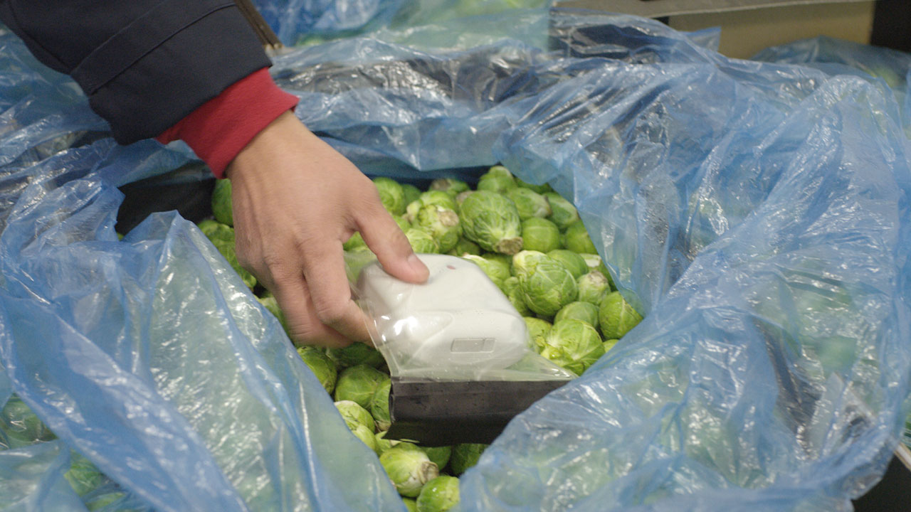 Brussel sprouts with food safety monitor