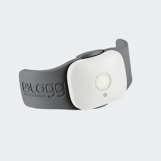 Verizon dog tracker shop
