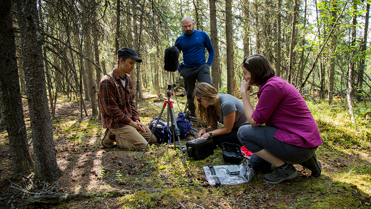 Group of people in forest