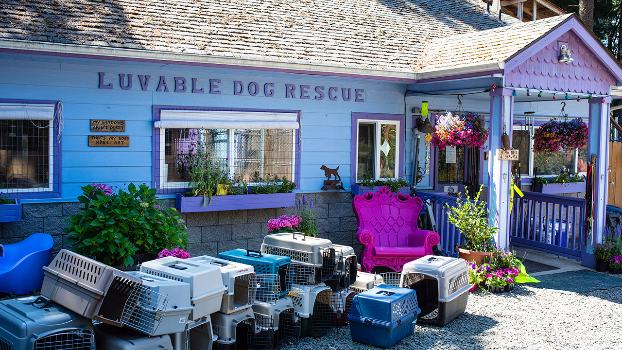 Front of animal shelter