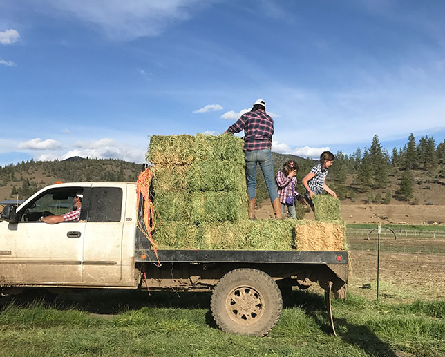 Truck with hay