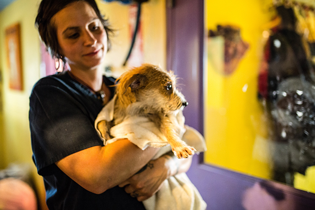 Woman holding dog