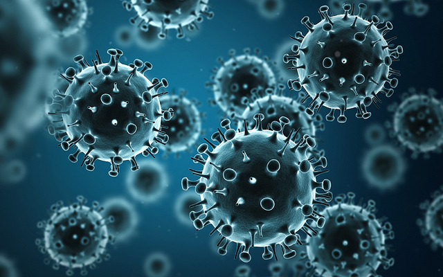 The Swine flu virus
