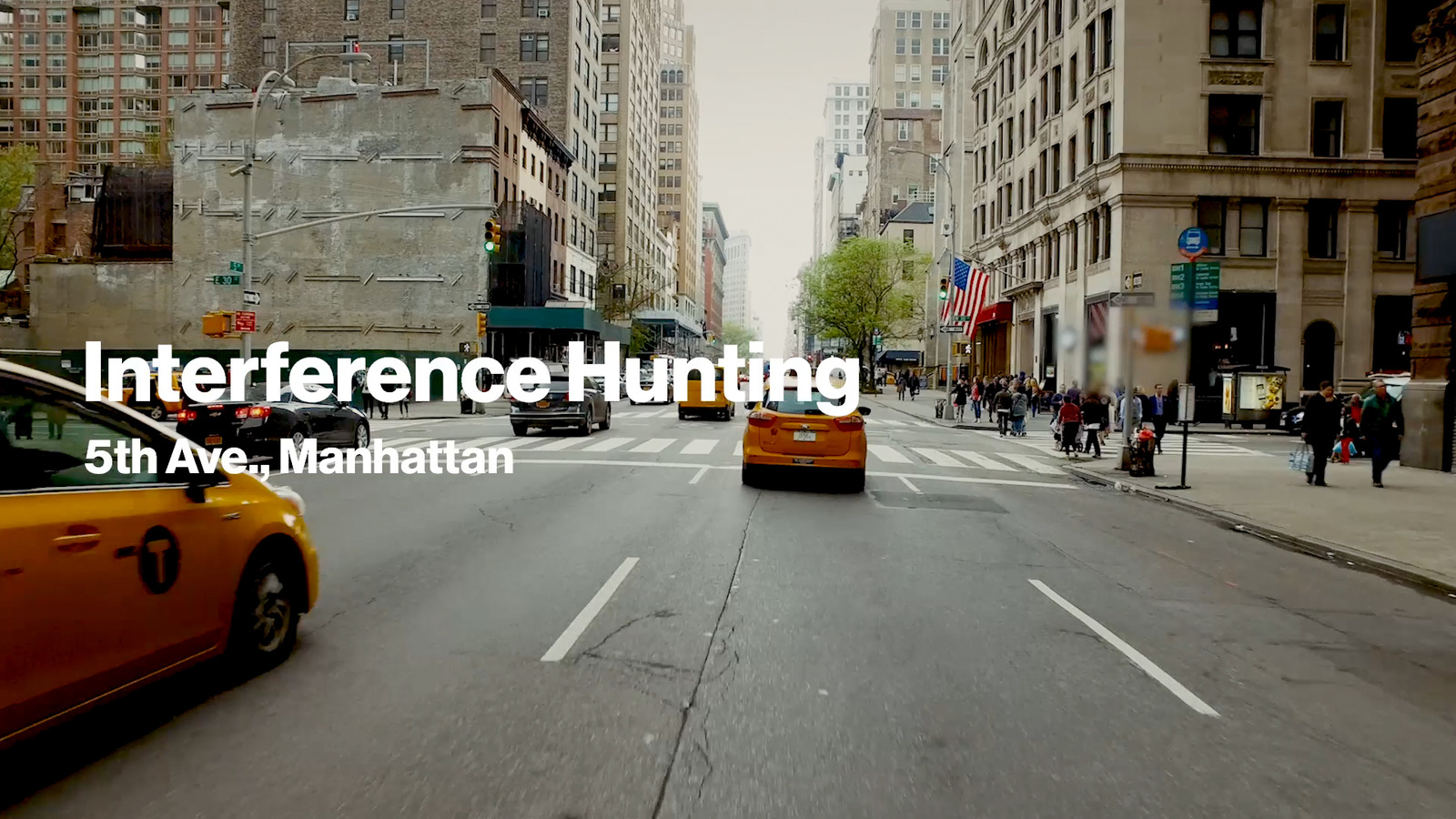 Interference Hunting NY | Best for a good reason.