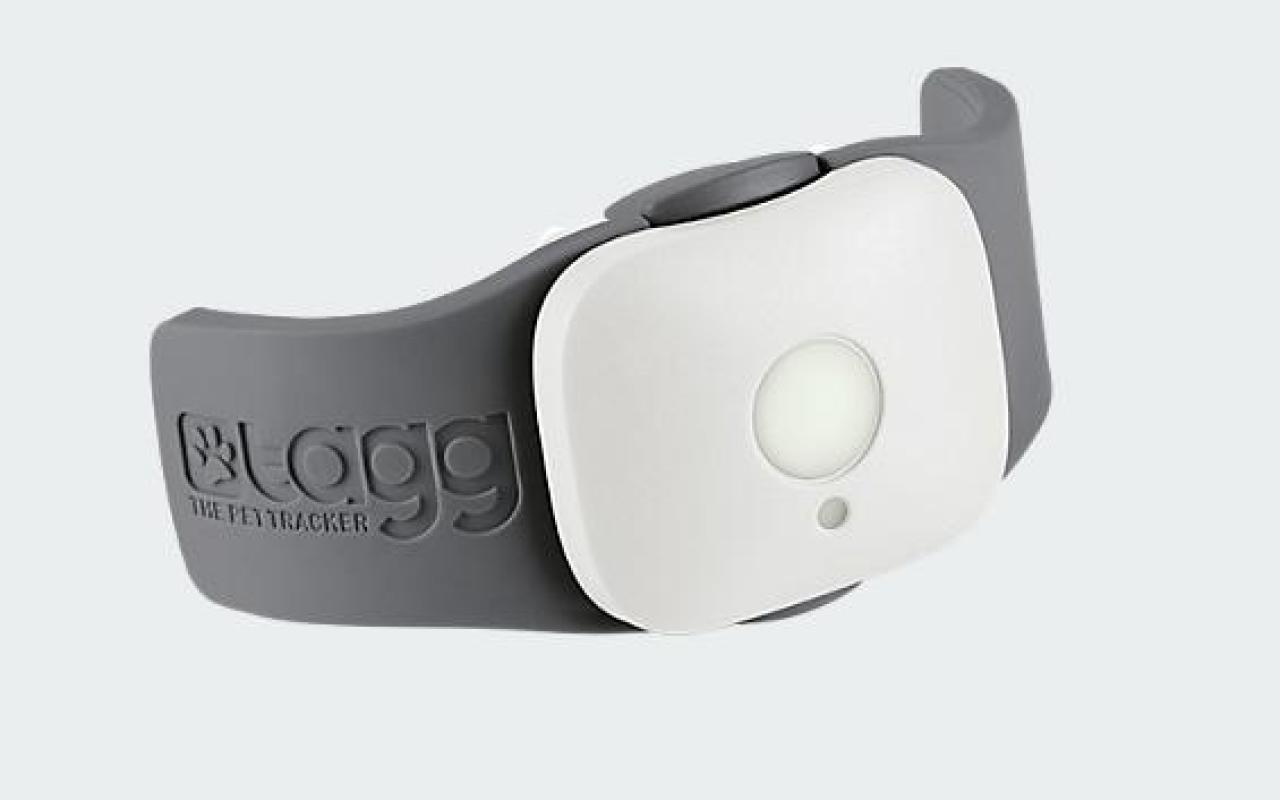 Tagg Pet Tracker Keeping Your Dog Healthy Safe With Tech