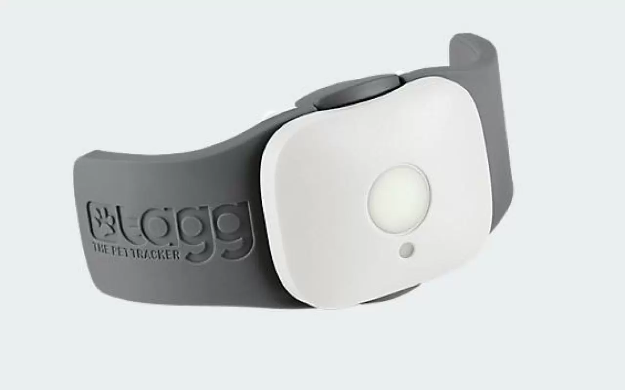 Tagg pet tracker top