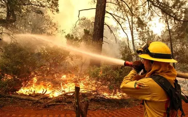 Fighting a forest fire