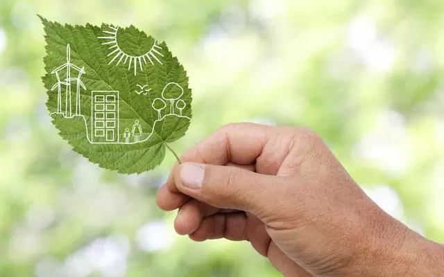 Green Energy leaf