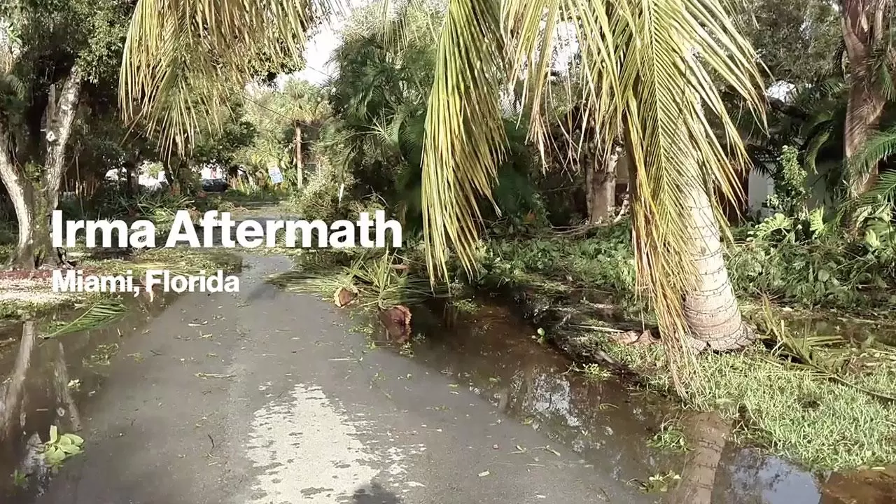Irma Aftermath | Best for a good reason.