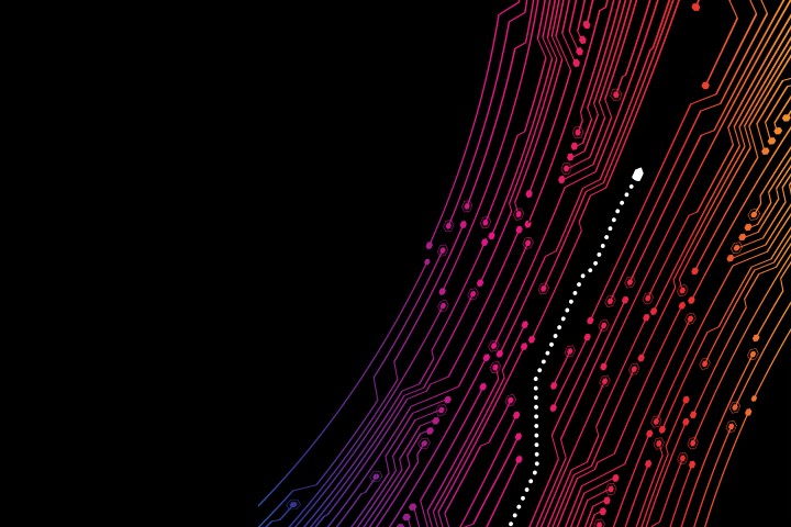 2019 Payment Security Report