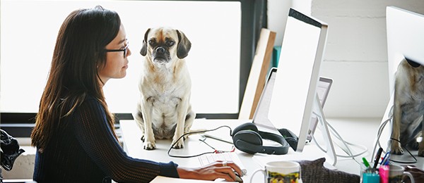 Woman working at her desk with a dog by her side.