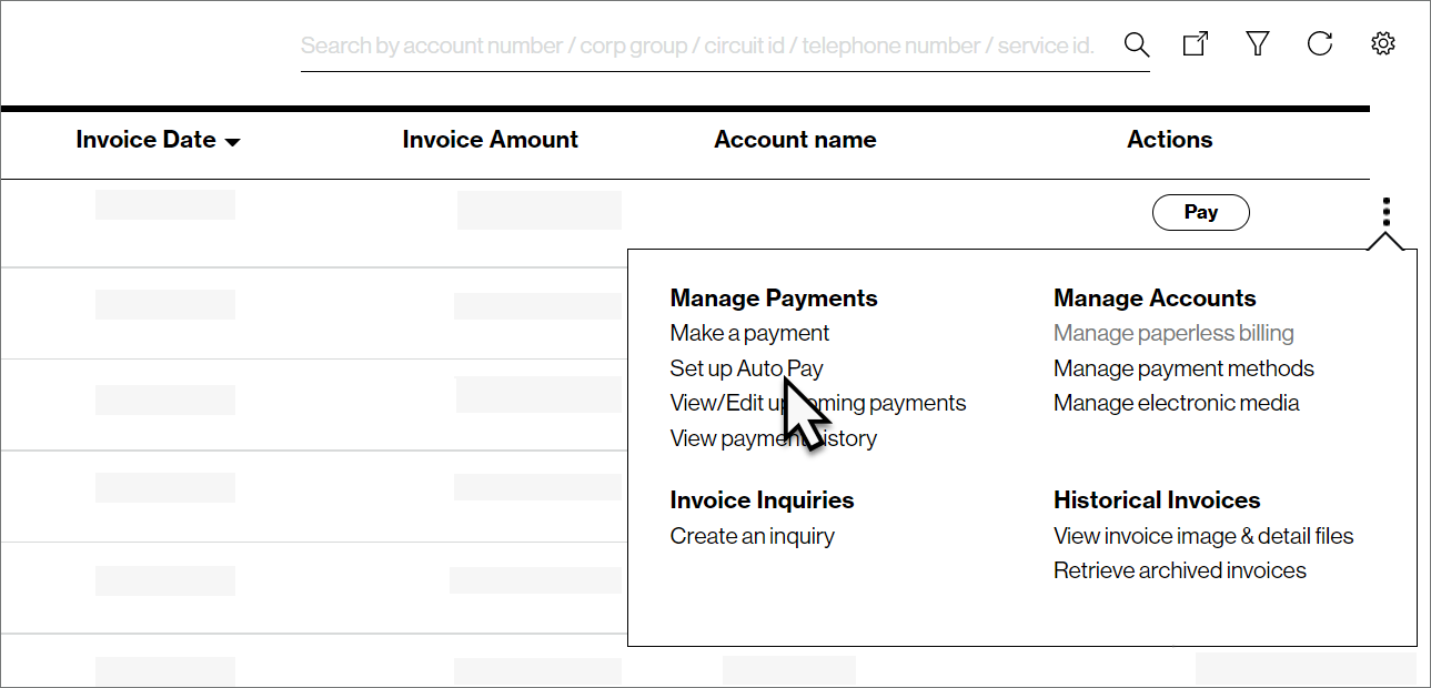 Set as Auto Pay