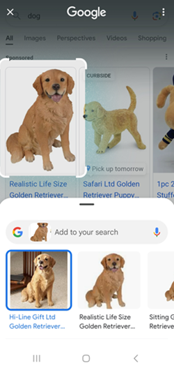 Samsung Galaxy Circle to Search screenshot