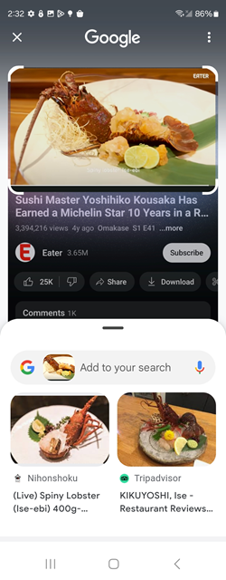 Samsung Galaxy Circle to Search screenshot