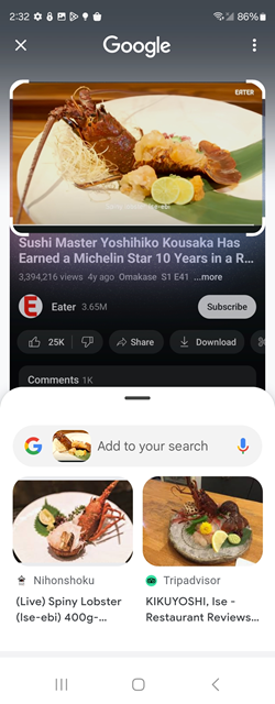 Samsung Galaxy One UI 6.1 Circle to Search screenshot