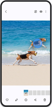 Samsung Galaxy One UI 6.1 Gallery screenshot